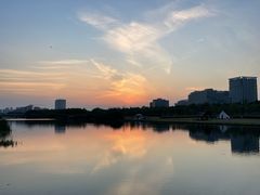 -春花秋色城市公园