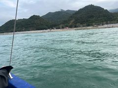 -杨梅坑