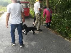 -桤木河湿地公园