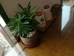 餐具摆设-东升灌浆包(辛庄街总店)
