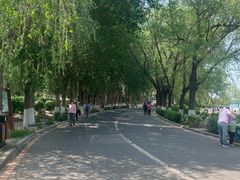 -丁香湖公园
