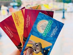 -上海迪士尼度假区