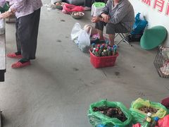 -锦江中华村农家乐饭庄