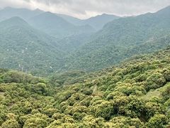 -广州市石门国家森林公园