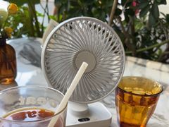 -O'eat Blossom&Pelican(深圳首店)