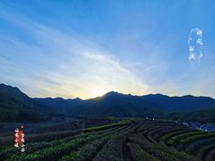 -龙坞茶村
