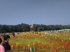 -北陵公园