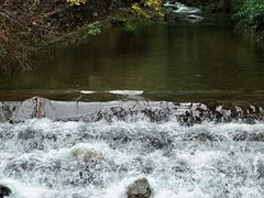 -宁波五龙潭景区