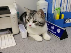 -萌兽医馆·绝育·24小时内科·宠物医院(德胜店)