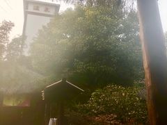 -观唐（国际）度假村温泉