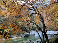 -光雾山旅游景区