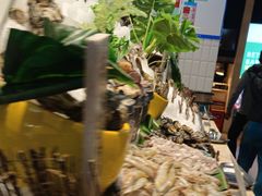 -亚马逊环球美食百汇(新城吾悦广场店)