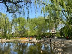 -玲珑塔公园