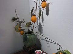 -朴物良社(东明锦园店)
