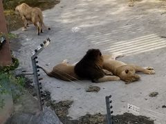 -无锡动物园·太湖欢乐园