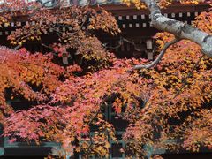 -清凉寺