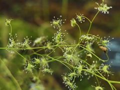 -北京植物园-展览温室