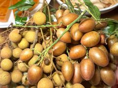 -亲子百果农庄