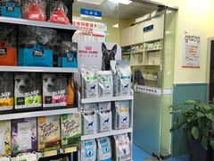 -佳怡动物医院·平价24小时·猫专科骨外科