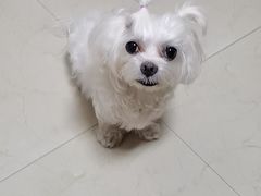 -爱侣宠医·鹦鹉专科·小型哺乳类·异宠专科(灵石路店)