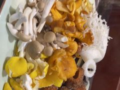 -菌之家·专业纯野生菌火锅·特色炒菌