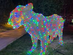 -南宫五洲植物乐园