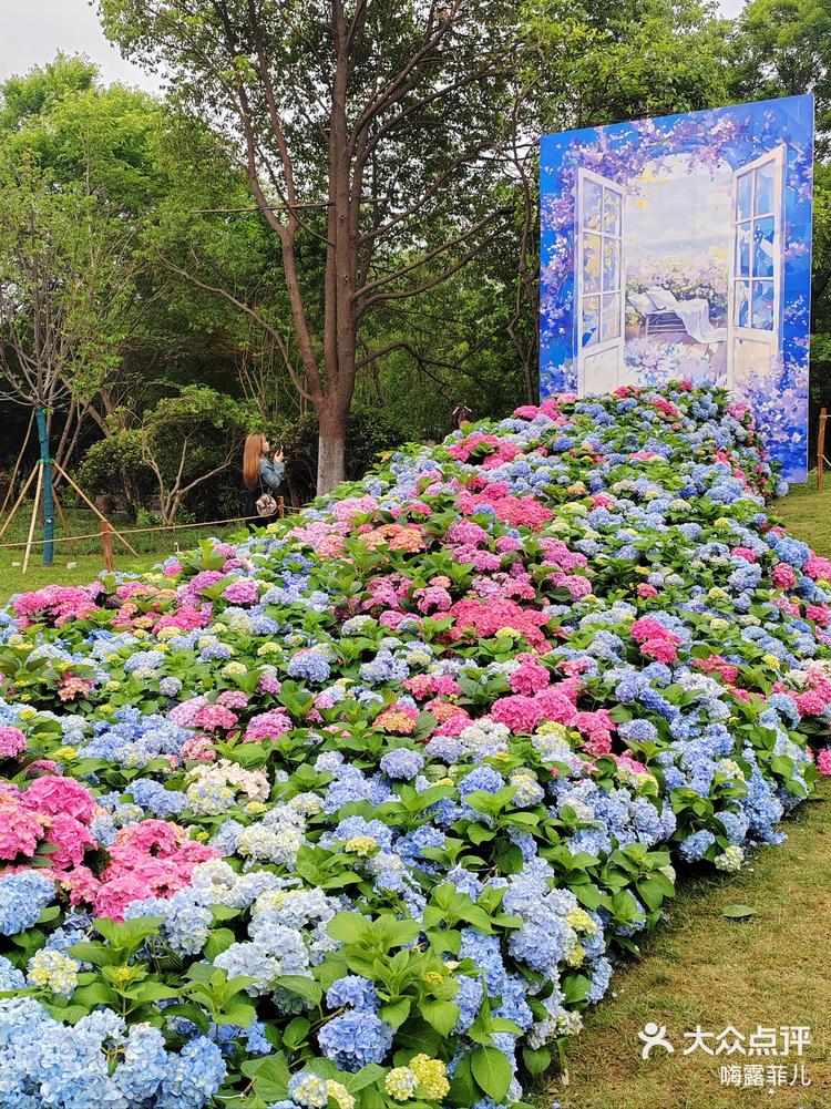 世界花园大会在园博园开幕啦