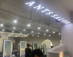 -蚂蚁造型沙龙