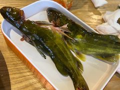 -铭记蛙小仙·活蛙畅享(CBD万达广场店)