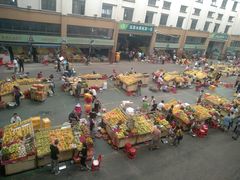 -鸿港海鲜批发市场