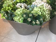 -金铂广场(龙归店)