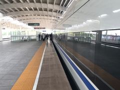 -深圳坪山站