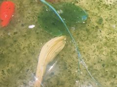 -敦煌神画 (三十三城店)