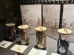 -金鸡湖景区