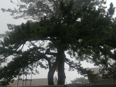 -妙峰山风景名胜区