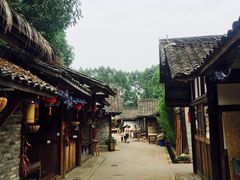 -秀丽东方