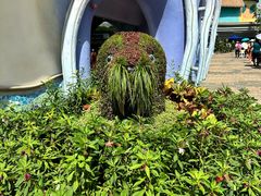 -香港海洋公园