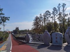 -上海长兴岛郊野公园