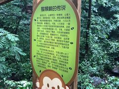 -大岭沟猕猴桃谷风景区