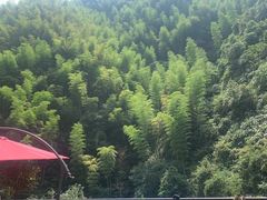 -将军关探险漂流