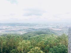 -水濂山森林公园