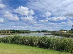 -春花秋色城市公园