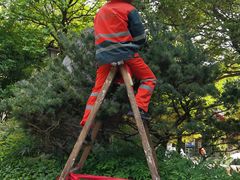 -杭州半山国家森林公园