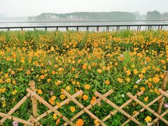 -海珠湖公园