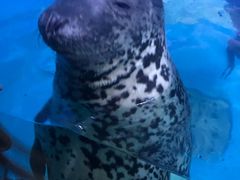 -多彩贵州城极地海洋世界