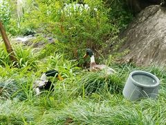 -世纪公园-世纪春沁园