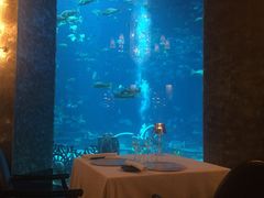 -迪拜帆船酒店海底餐厅