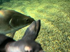 -上海海洋水族馆