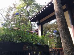 -五泄景区