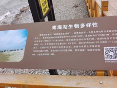 -青海湖二郎剑景区
